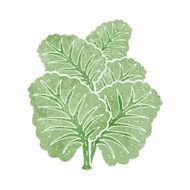 cartoon cabbage leaves