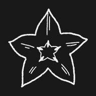 Star fruit doodle N3