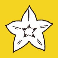 Star fruit doodle N6