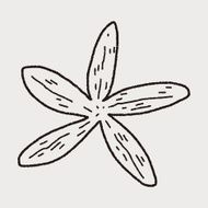 Starfish doodle N6