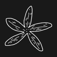 Starfish doodle N8