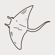 Stingray doodle N3