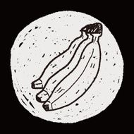 banana doodle N11