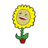 caroton happy sunflower N3