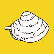 clam doodle N7