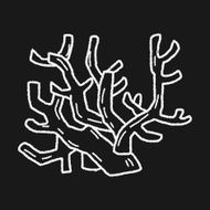 Coral doodle N4