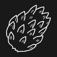 Custard apple doodle N5