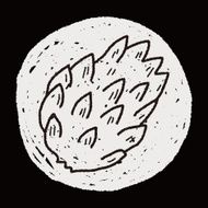 Custard apple doodle N7