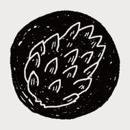 Custard apple doodle N9