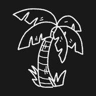 doodle coconut tree N4