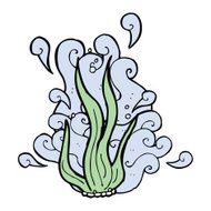Cartoon Seaweed N21