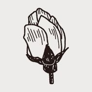 Flower doodle N151