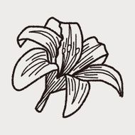 Flower doodle N155