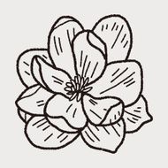 Flower doodle N157