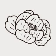 Flower doodle N158