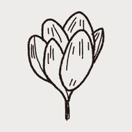 Flower doodle N163
