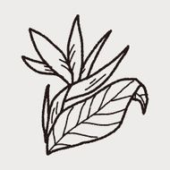 Flower doodle N164