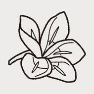 Flower doodle N166