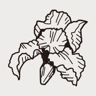 Flower doodle N176