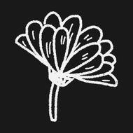Flower doodle N187