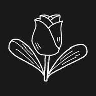 Flower doodle N189