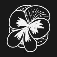 Flower doodle N192