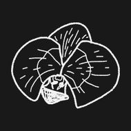 Flower doodle N194