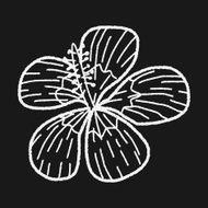 Flower doodle N197