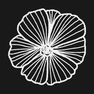 Flower doodle N198