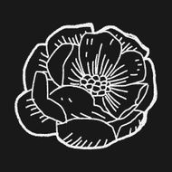 Flower doodle N200