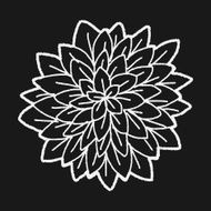 Flower doodle N202