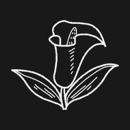 Flower doodle N203