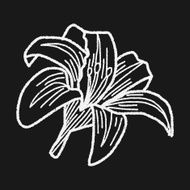 Flower doodle N205