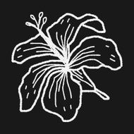 Flower doodle N206