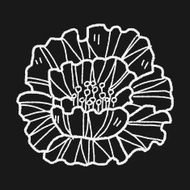 Flower doodle N209