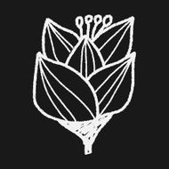 Flower doodle N210