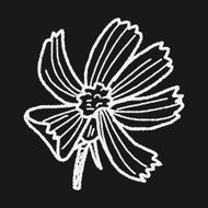 Flower doodle N211