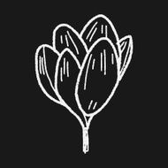 Flower doodle N213