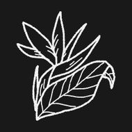 Flower doodle N214