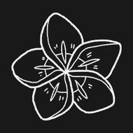 Flower doodle N215