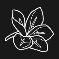 Flower doodle N216
