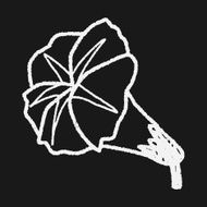 Flower doodle N217