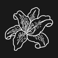 Flower doodle N223