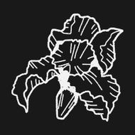 Flower doodle N226