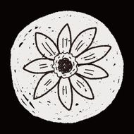 Flower doodle N234
