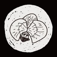 Flower doodle N244