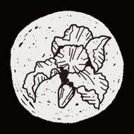 Flower doodle N276