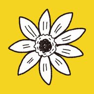 Flower doodle N333
