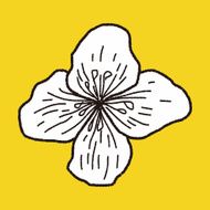 Flower doodle N341