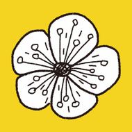 Flower doodle N344